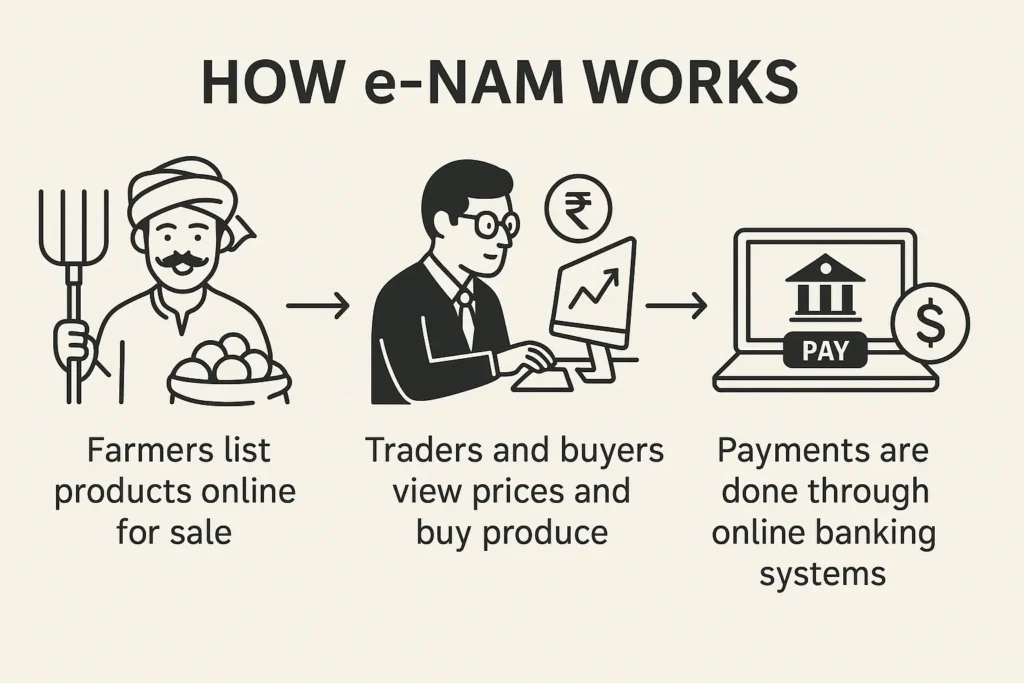 E-NAM: A New Age Market for Indian Farmers