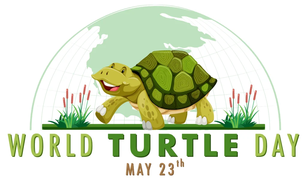 Celebrate World Turtle Day!