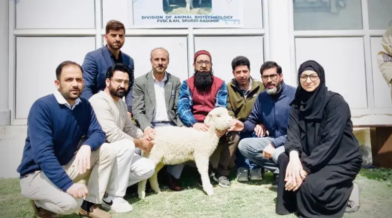 India’s First Gene-Edited Sheep