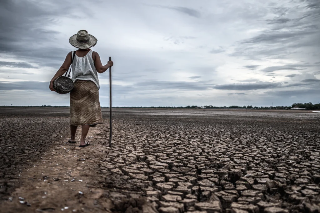 World Day to Combat Desertification and Drought